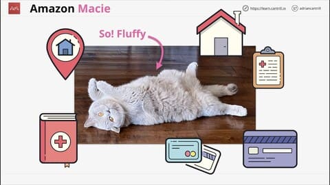 Cantrill's Micro Project 7