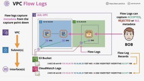 Cantrill's Micro Project 9